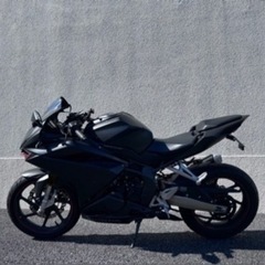 HONDA    ホンダCBR250RR バイク  二ダボの画像