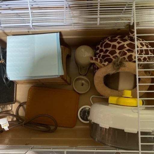 ハリネズミ飼育スターター10点セット