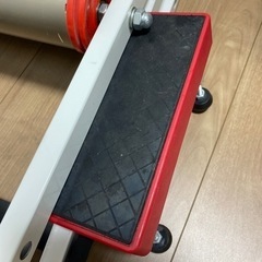 ミノウラ　MoZ-Roller 3本ローラーの画像