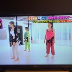 ハイセンス　32インチ 家電 テレビ 液晶テレビ