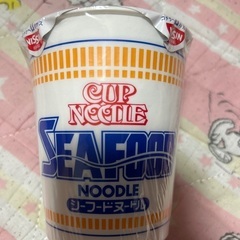 カップラーメンお話中