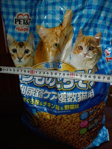猫のエサ