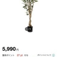 フェイクグリーンの画像