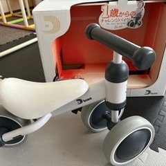 アイデス D-bike mini アッシュの画像