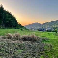 ブルーベリー栽培／動物ふれい/自然体験農園の立ち上げのためメンバー募集