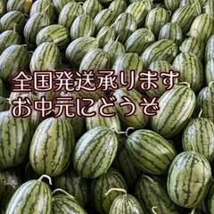 bお中元にいかがでしょうか♪茨城県産のすいか『スマートボール』