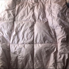 フェザーケットの画像