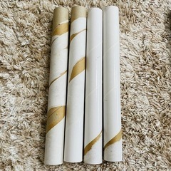 白いわんぱくジム　室内ジャングルジムの画像