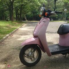 トゥデイ AF61 実動 愛知県豊橋～ 