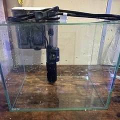 (期間限定値下げ) GEXガラス水槽②の画像