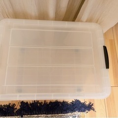 家具 収納家具 収納ケースの画像