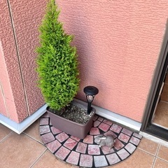 【受け渡し予定者決定】植木鉢•グリーン•玄関マット•うさぎ•ソー...
