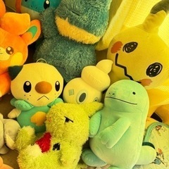 ポケモン　ぬいぐるみ12体！の画像
