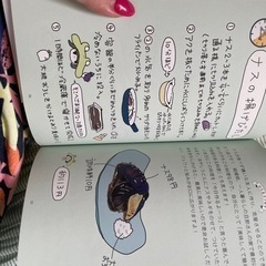 月2万円のふたりごはんの画像