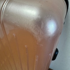 リモワスーツケース大の画像