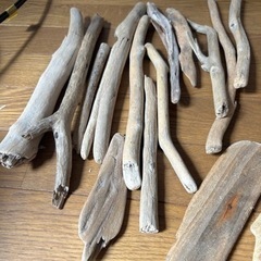 小さめ流木の画像
