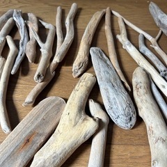 小さめ流木の画像