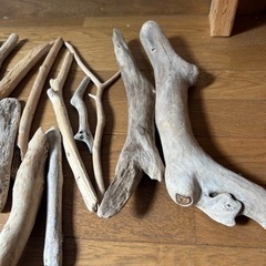 小さめ流木の画像