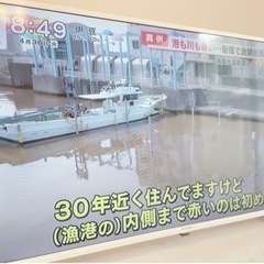 当日OK!40型！ホワイトテレビ