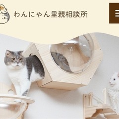 「わんにゃん里親相談所」で撮影、ライブ配信などのボランティア募集です。 - ボランティア