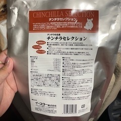 チンチラの画像