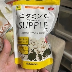 チンチラの画像