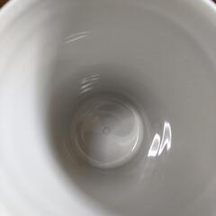 【お話し中】水筒☆直飲み水筒♪の画像