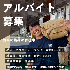 【週払い】お米の集荷、検査補助　8/19～1ヶ月程度　短期