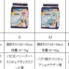 犬用オムツの画像