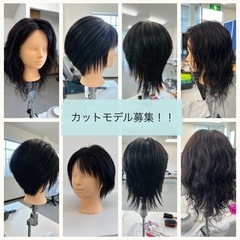 女性カットモデル募集！
