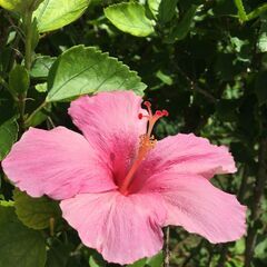 ダブルワーク・副業・空いた時間のスキマバイト！シフト自由です！【...