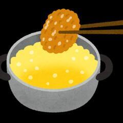 食用油の廃油をください。