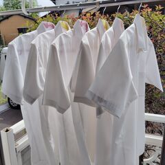半袖シャツ　サイズ　L   ￥800--