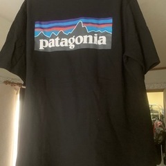patagonia Tシャツ！の画像