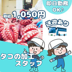 タコの加工