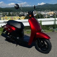 バイク ホンダ　トッデイ　50