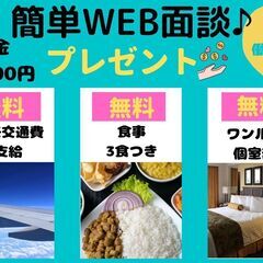 【住み込み】ナイトフロント