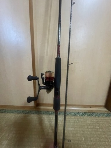 エギングセット　シマノ