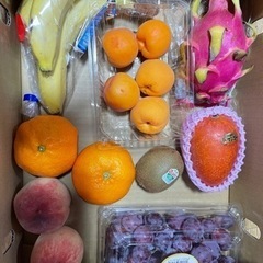 70411組み合わせ　　果物