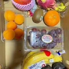 70412組み合わせ　果物