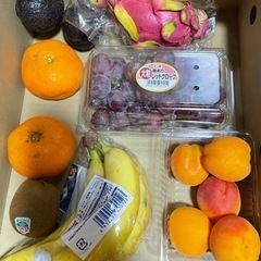 70414 組み合わせ　果物
