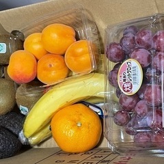 70415 組み合わせ　果物