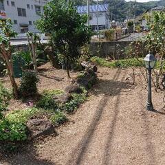 草刈り・剪定・片付け等はお任せ✨ − 大分県