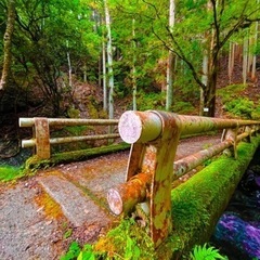 山へ行く事が癒し