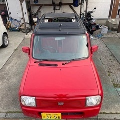 希少　キャンパストップ　の画像