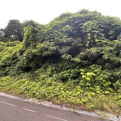 🌈売り土地　糟屋郡須恵町大字上須恵🌈