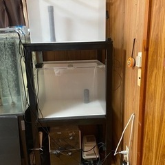 アクリル水槽