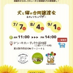 7月7日　犬と猫の合同譲渡会