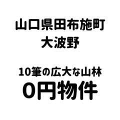 【山口県田布施町】合計で10筆の広大な山林をお譲りします。S-2...