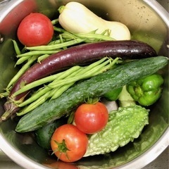 🧑‍🌾旬のお野菜🧑‍🌾　詰め合わせ！写真は一例です。7/4に採れたものです。の画像